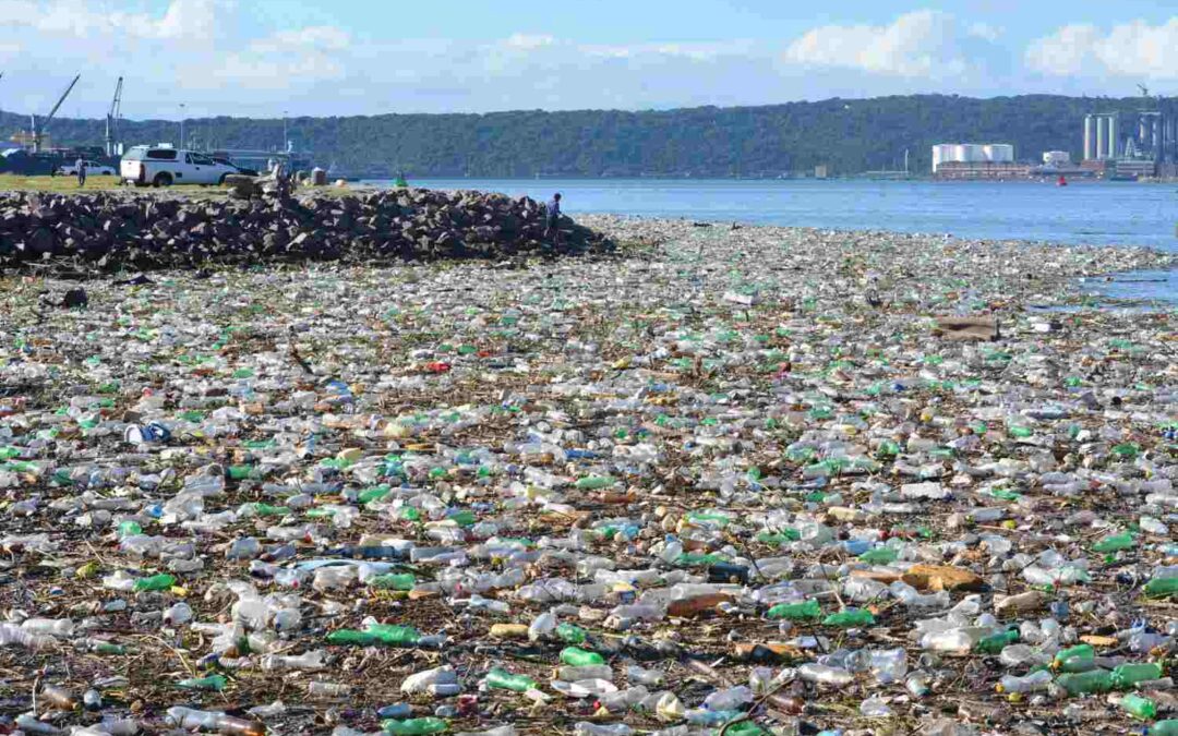 La contaminación plástica y sus consecuencias. Alternativas al uso de agua embotellada